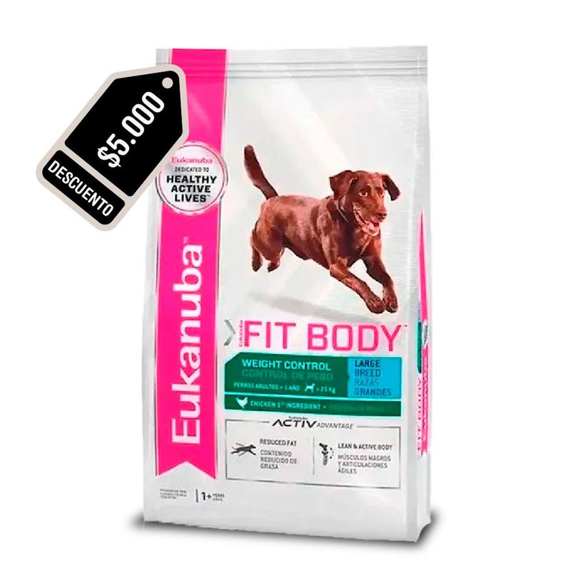 fit-body-grande