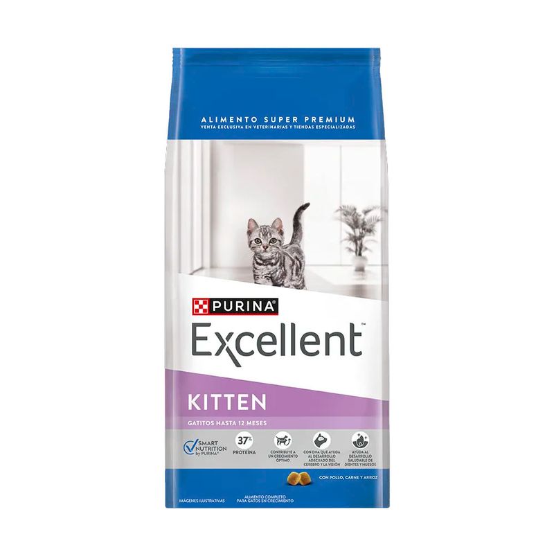 excellent-kitten