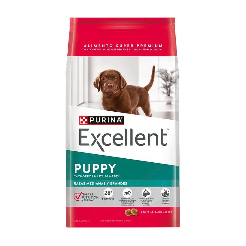 EXCELLENT-PUPPY-MEDIANO-Y-GRANDE