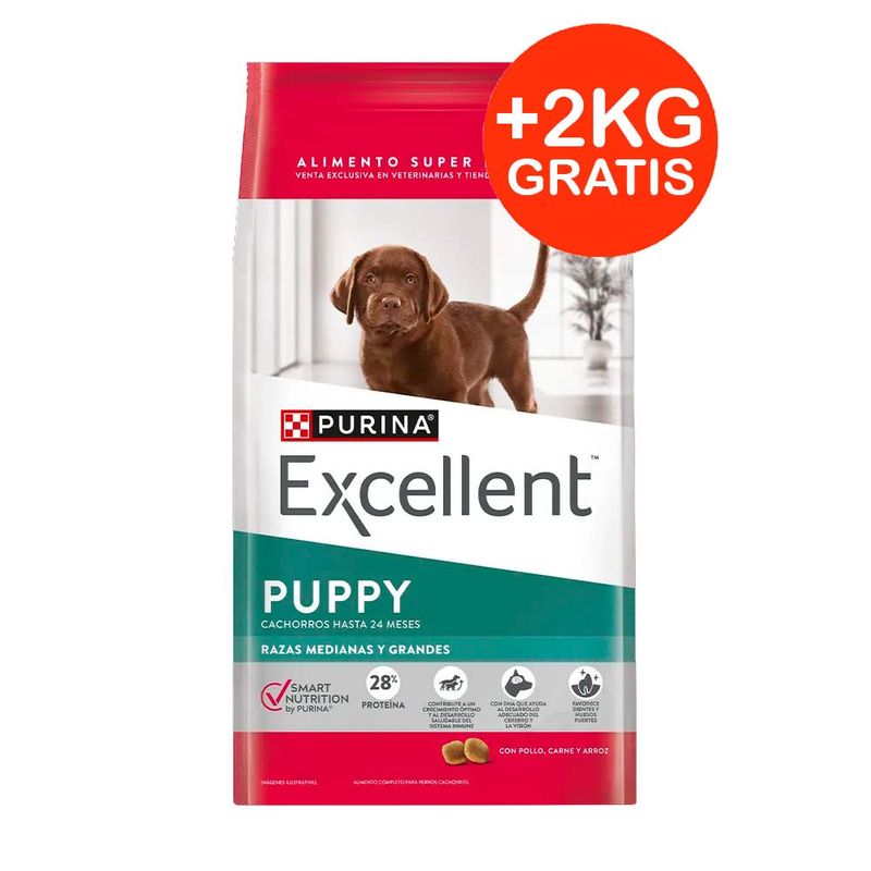 EXCELLENT-PUPPY-MEDIANO-Y-GRANDE---2