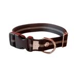 collar-reflectario-n4