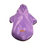campera-2