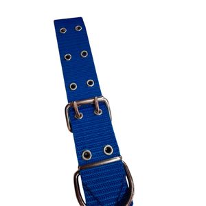 Collar Cinta Nato Doble Herraje N°4