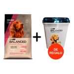 CERDO-RECIPE---ALMACENADORA-REGALO
