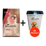 SALMON-RECIPE-GATO---ALMACENADORA-REGALO