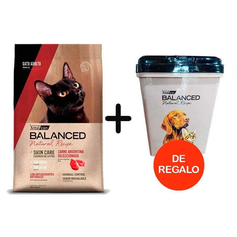 RECIPE-GATO-CARNE-ARG---ALMACENADORA