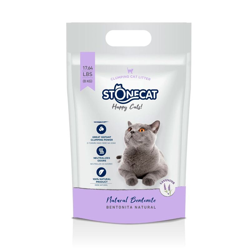 stone-cat-8-lavanda