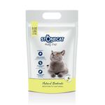 stone-cat-llimon-4