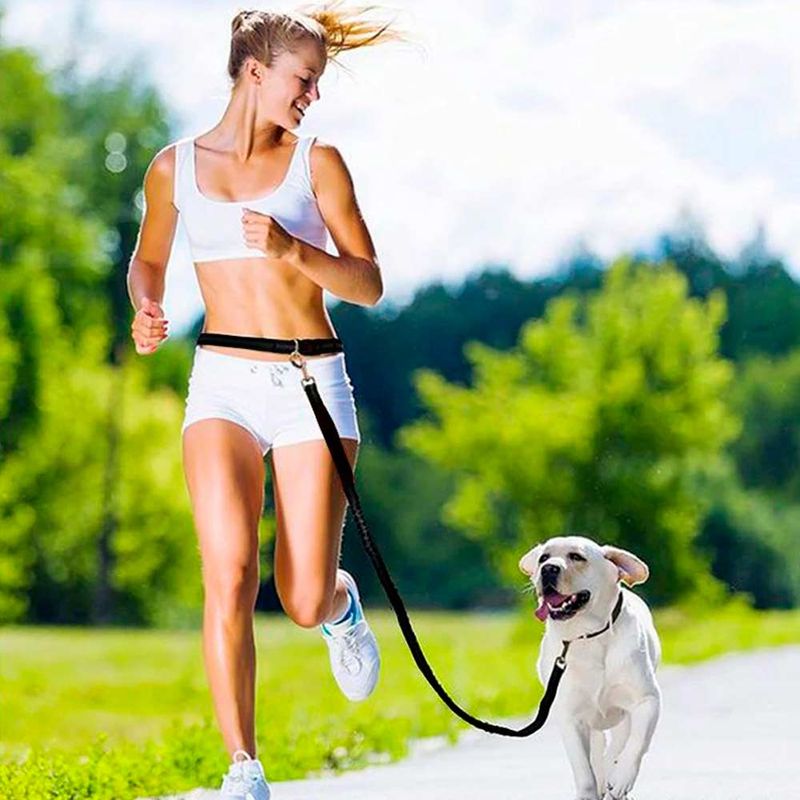 correa-corriendo-perro