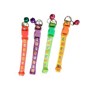 Collar Regulable Cachorro