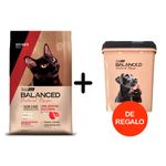 RECIPE-GATO-CARNE---TACHO
