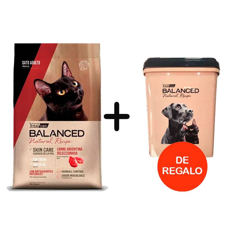 RECIPE-GATO-CARNE---TACHO