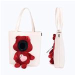 bolsa-leon