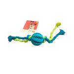 pelota-denta-azul-con-soga