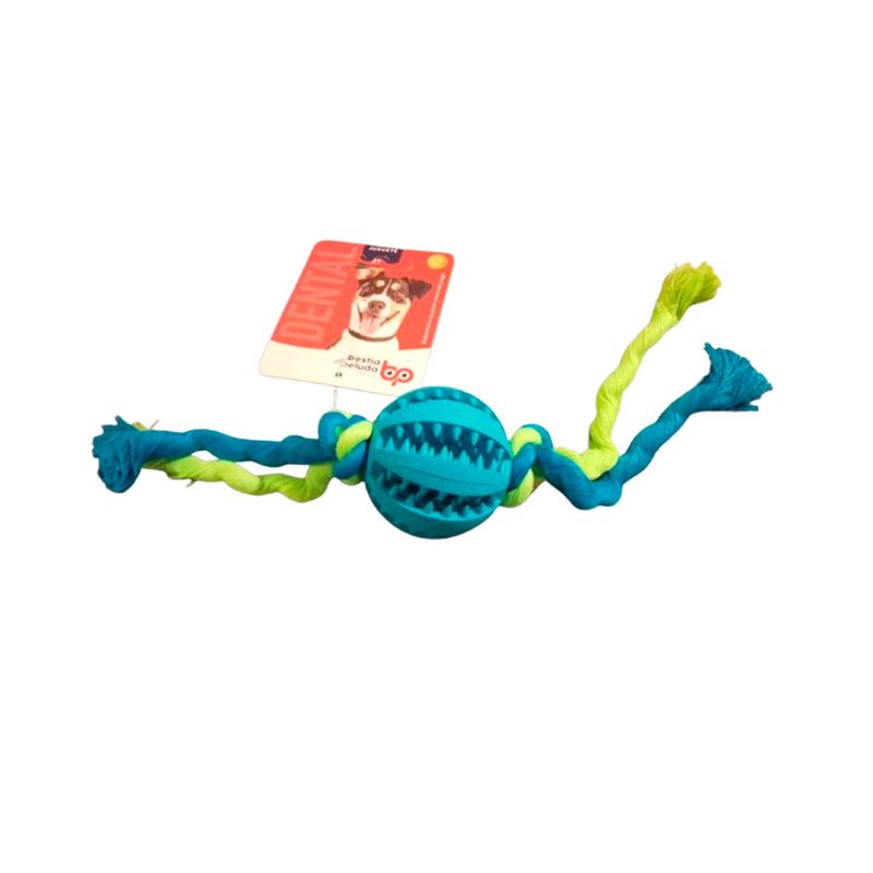 pelota-denta-azul-con-soga