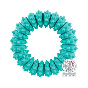 Juguete Dental Fun Anillo Menta
