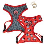 arnes-premium-minnie