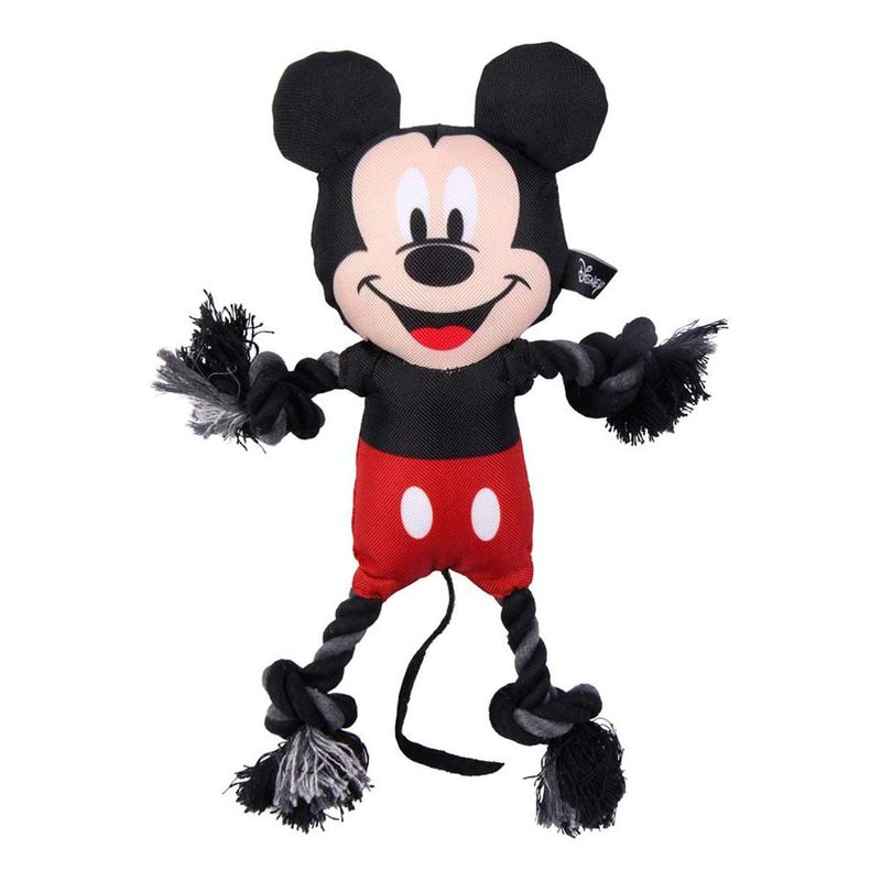 cuerda-dental-mickey