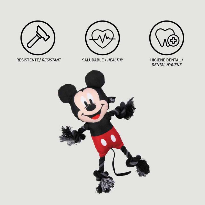 cuerda-dental-mickey4