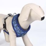 arnes-stitch3