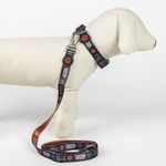 CORREA-PARA-PERROS-STAR-WARS_5
