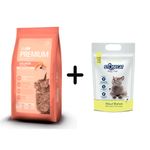 premium-gato-salmon---stone-cat-limon-4kg