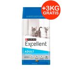 excellent-gato-adulto-15-+-3.jpg