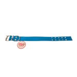collar-nylon-doble-azul.jpg