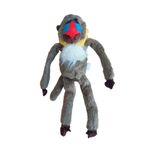 mono-mandril.jpg