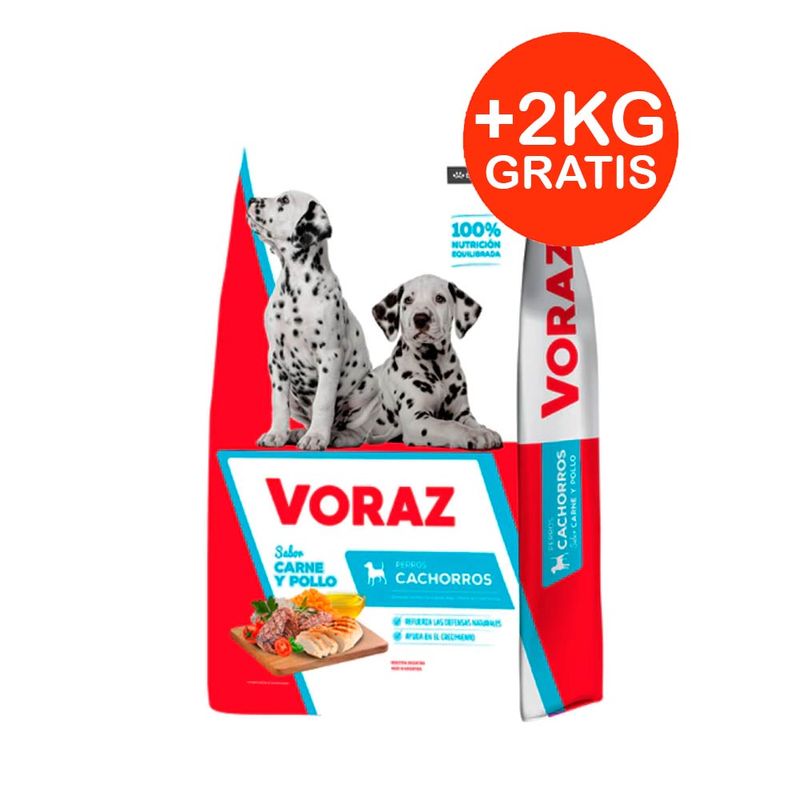 voraz-cachorro-20-+-2.jpg