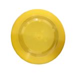 frisbee-1.jpg