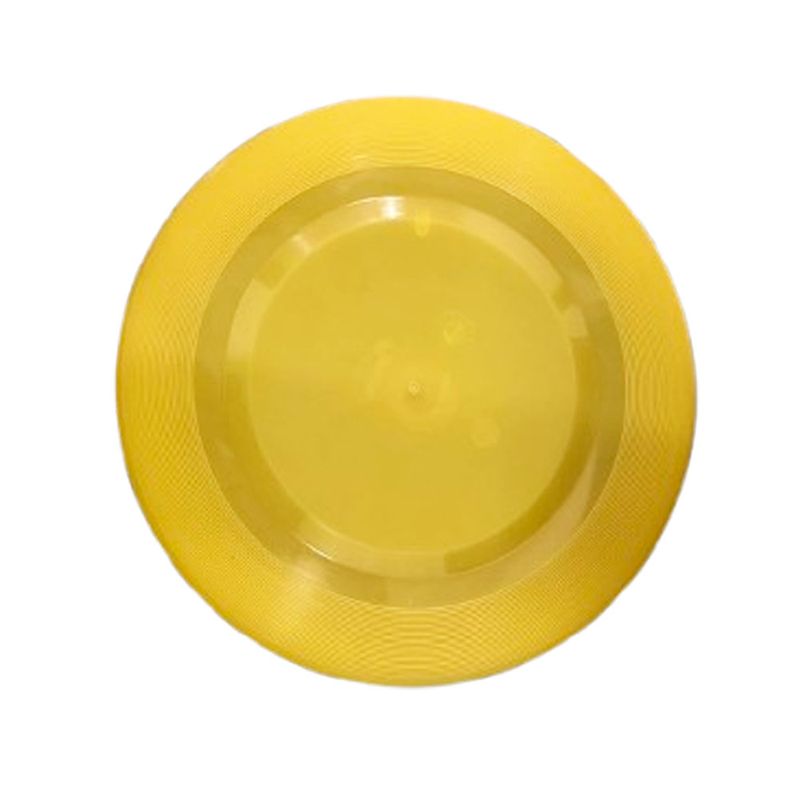 frisbee-1.jpg