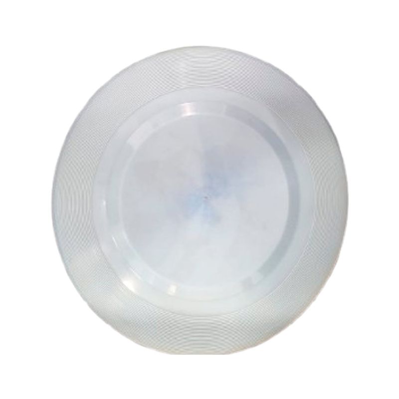 frisbee-2.jpg