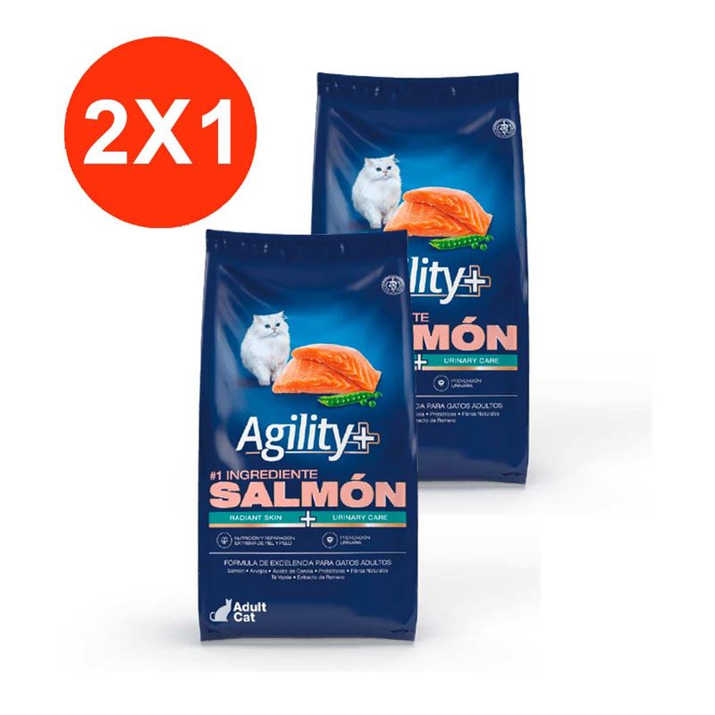 agility2x1-2.jpg