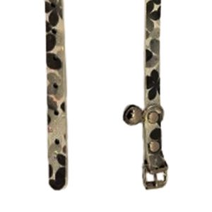 Collar Gato Económico