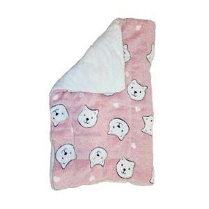 Colchoneta M 61cm x 41cm Unión Pet