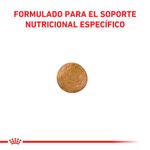 royal-anallergenic-2.jpg