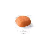 golden-royal-junio-croqueta.jpg