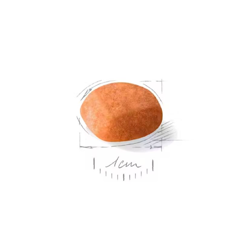 golden-royal-junio-croqueta.jpg