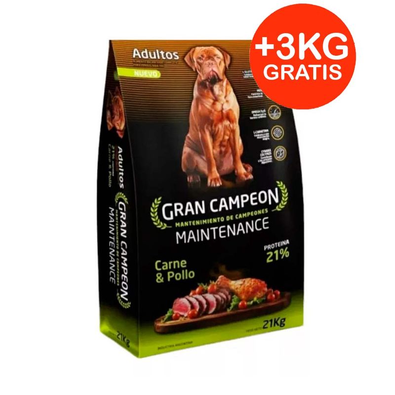 GRAN-CAMPEON-MANTENIMIENTO-21-+-3.jpg