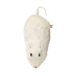 raton-a-cuerd2