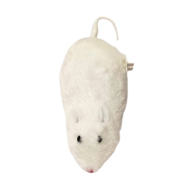 raton-a-cuerd2