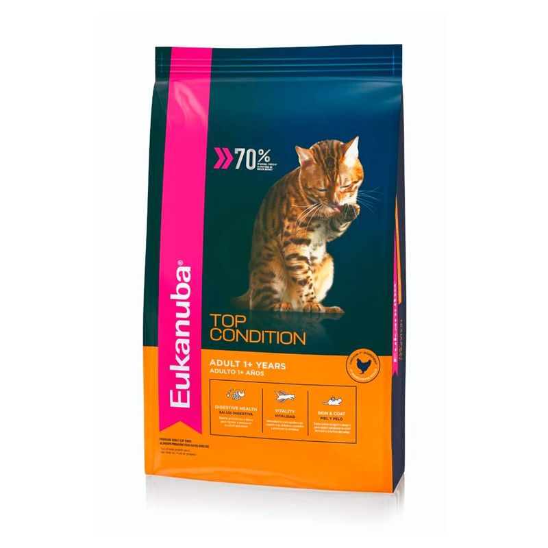 euka-gato-adulto
