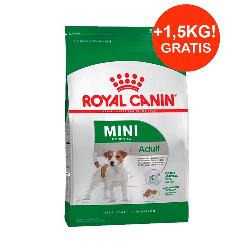 royal-mini-adulto-6-+-1,5
