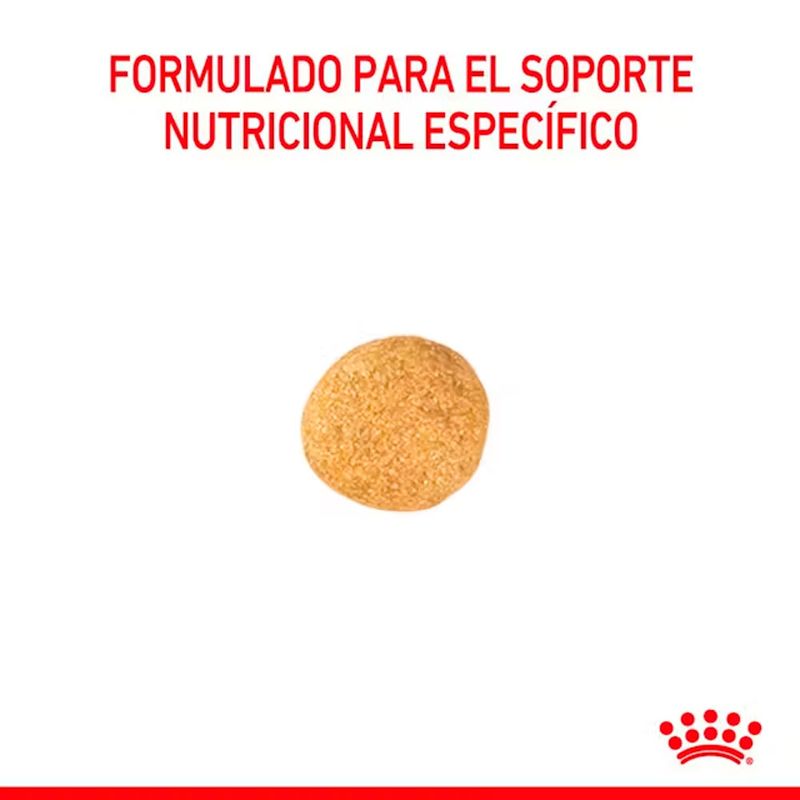 URINARY-DOG-SMALL-2kg-corqueta