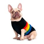 SWEATER-PRIDE-2