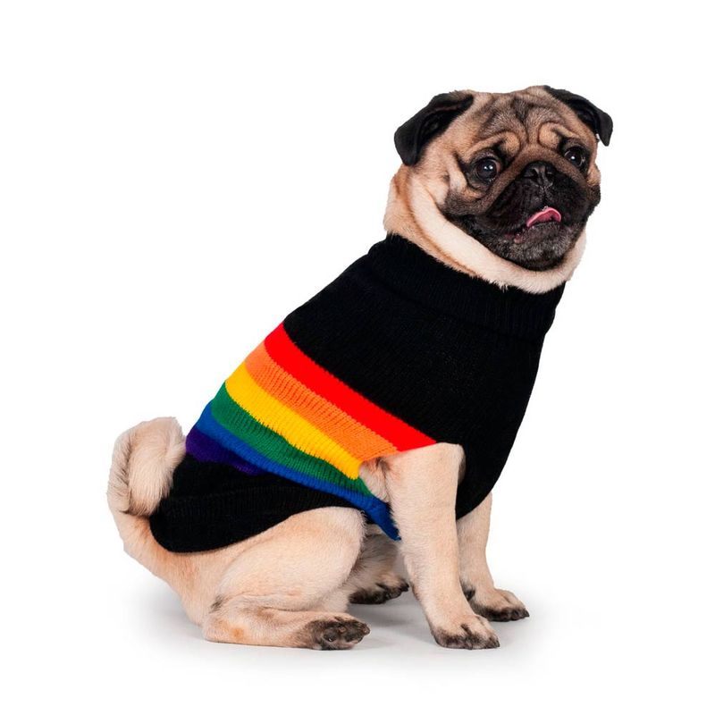 SWEATER-PRIDE-3
