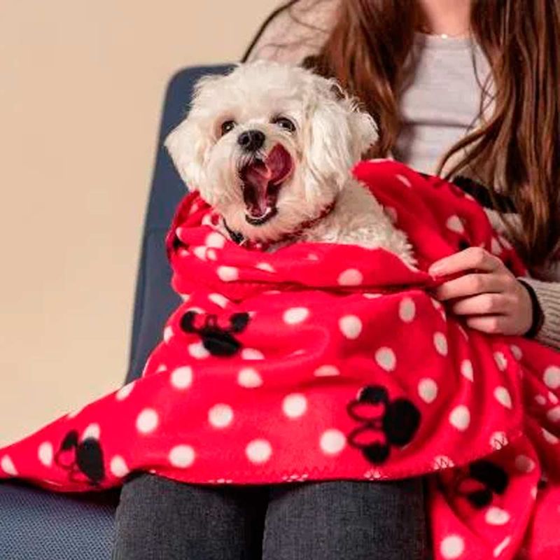 MANTA-TALLA-M-MINNIE-2