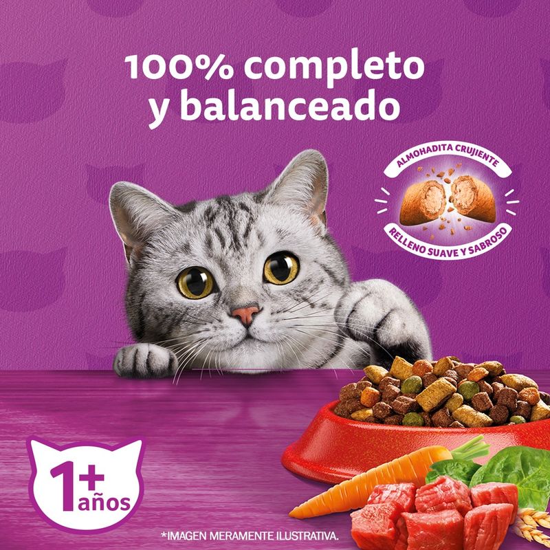 Copia de Whiskas Gato Sabor Carne 10kg-1761842463751