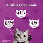 Copia de Whiskas Gato Sabor Carne 10kg-1761842481092